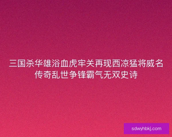三国杀华雄浴血虎牢关再现西凉猛将威名传奇乱世争锋霸气无双史诗 三国杀华雄浴血虎牢关再现西凉猛将威名传奇乱世争锋霸气无双史诗