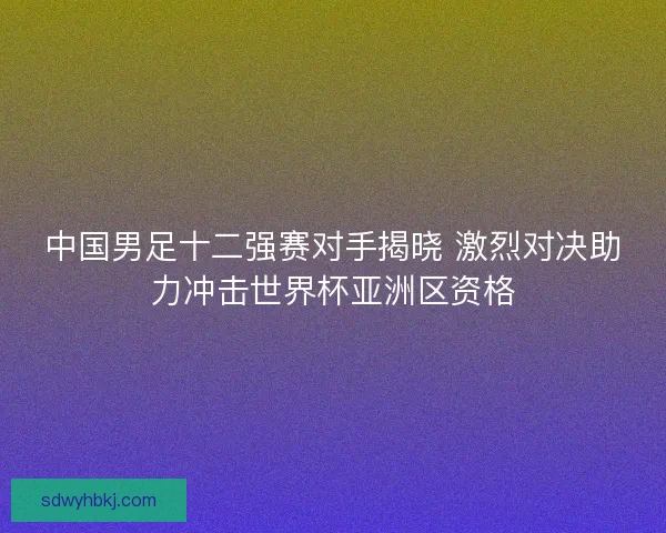 中国男足十二强赛对手揭晓 激烈对决助力冲击世界杯亚洲区资格