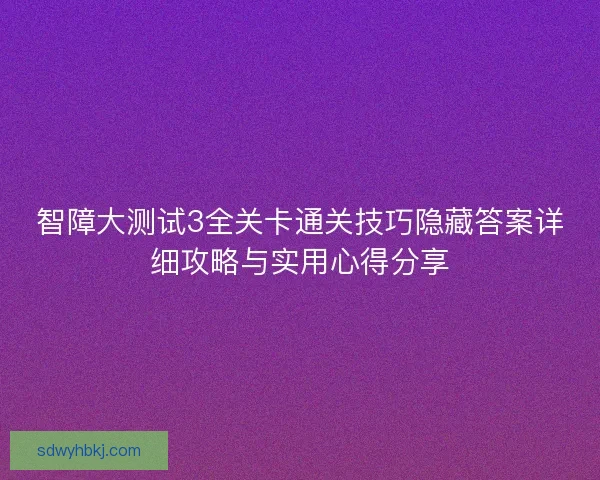 智障大测试3全关卡通关技巧隐藏答案详细攻略与实用心得分享