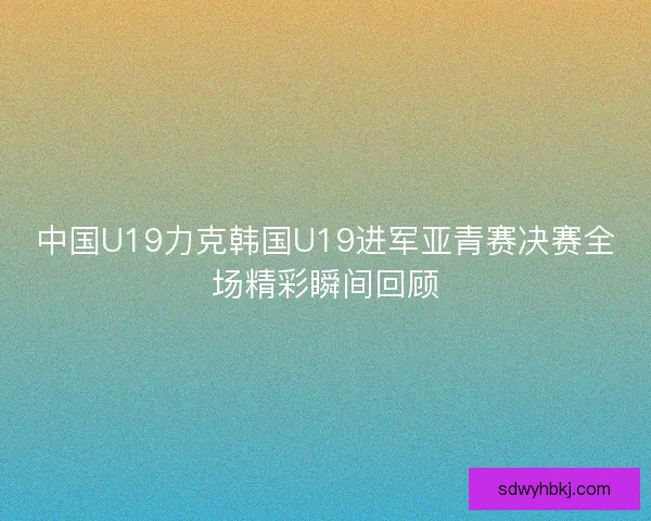 中国U19力克韩国U19进军亚青赛决赛全场精彩瞬间回顾 中国U19力克韩国U19进军亚青赛决赛全场精彩瞬间回顾