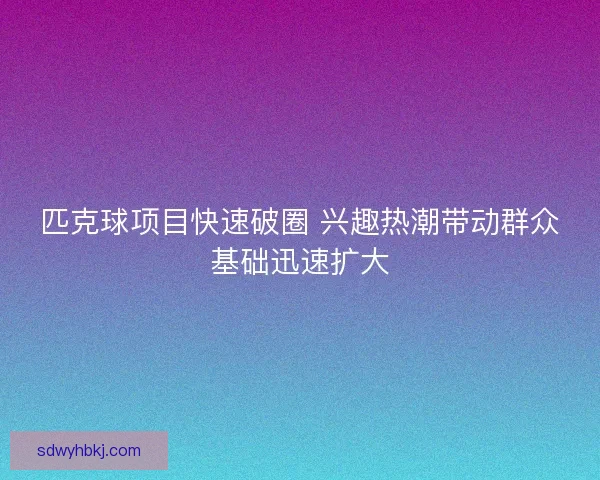 匹克球项目快速破圈 兴趣热潮带动群众基础迅速扩大 匹克球项目快速破圈 兴趣热潮带动群众基础迅速扩大