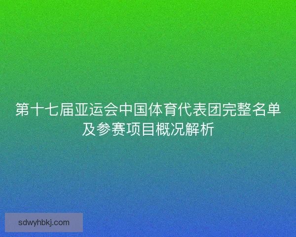 第十七届亚运会中国体育代表团完整名单及参赛项目概况解析